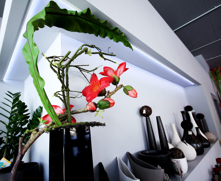 foto Art flowers 5955